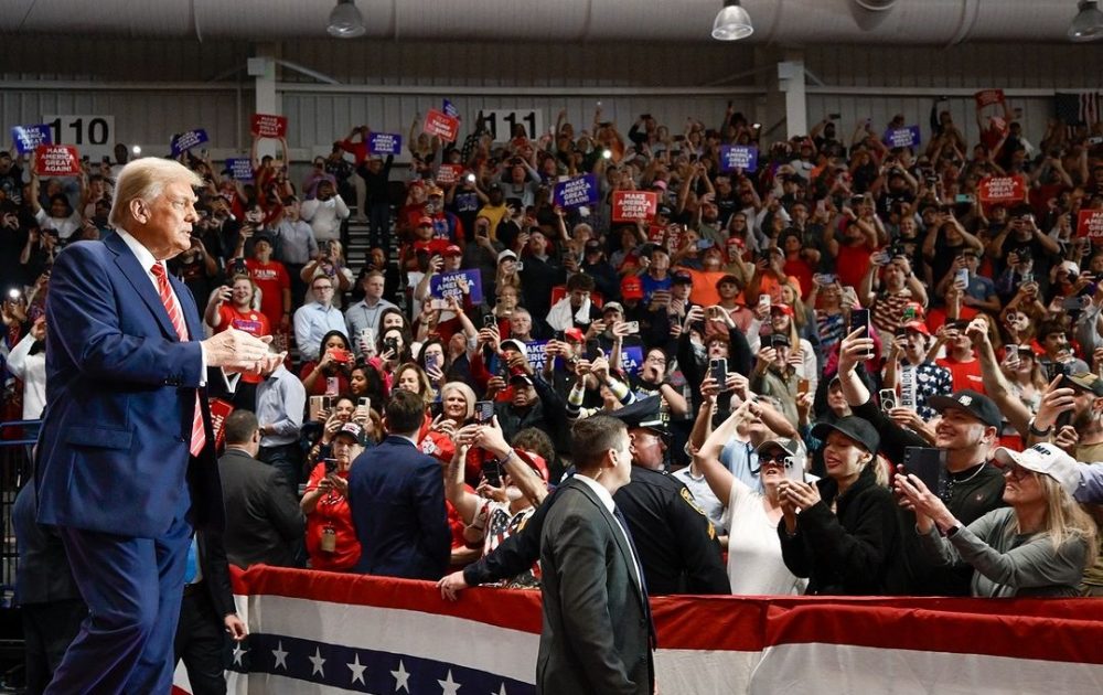 celebrity reactions to Trump’s win